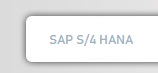 SAP Usuario