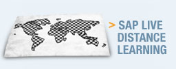 SAP Live Distance Learning